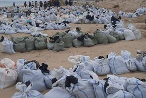 Загрязненную территорию Черноморского побережья поделили на 5 секторов