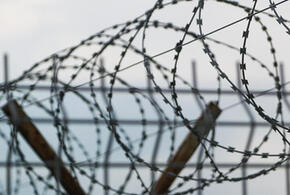 Жестокое братоубийство произошло в Горячем Ключе