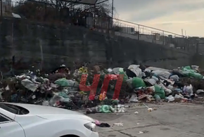 Жуткая вонь идет со стороны кладбища, жалуются жители Сочи