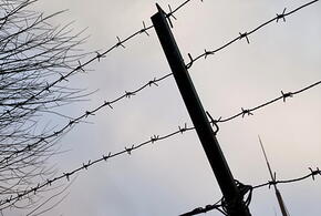 Зверски зарезавший пенсионеров на Кубани грабитель отправился на СВО