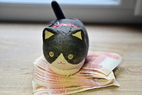 10 советов, которые помогут накопить деньги