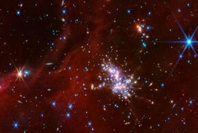 Близнецам не следует делать поспешных выводов, а Весам нужно воздержатся от поисков новых партнёров по бизнесу