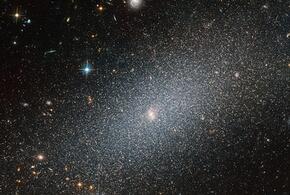 Близнецы найдут новое увлечение, а ко Львам обратятся за помощью