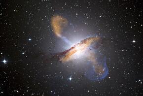 Близнецы отлично справятся с решением профессиональных проблем, а у Скорпионов появятся новые идеи