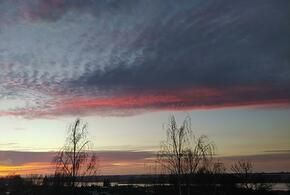 Более сотни вражеских беспилотников за ночь сбили российские средства ПВО над территориями РФ