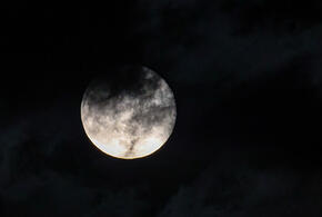 Через несколько часов наступит Волчье Полнолуние