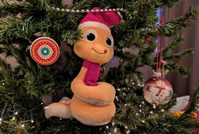 После новогодних праздников люди задумываются о здоровом образе жизни