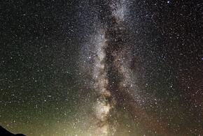 Девам не стоит принимать серьезные решения, а идеи Стрельцов поддержит коллектив 