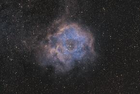 Гороскоп на неделю с 17 по 23 июня от «Живой Кубани»