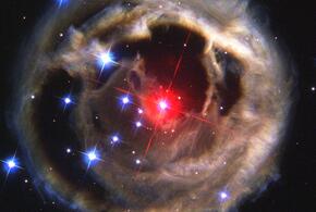 Гороскоп на неделю с 29 января по 4 февраля от «Живой Кубани»