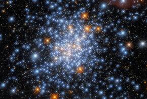 Гороскоп на неделю с 8 по 14 июля от «Живой Кубани»