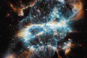 Гороскоп от ​​​​​​​«Живой Кубани» на неделю с 12 по 18 февраля