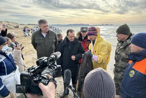  Губернатор Кубани прибыл в Анапу