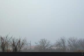 Какой будет погода в воскресенье, 26 января, в Краснодарском крае, рассказали в Гидрометцентре