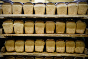 Отдать предпочтение хлебцам стоит только в том случае, если они изготовлены из цельнозерновой муки