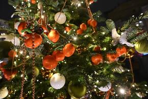 Хватит праздника: Краснодар избавят от украшений