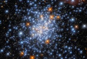 Львам нужно быть собранными и ответственными, а Тельцам предстоит исправлять ошибки