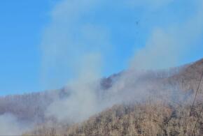 МЧС тушит большой лесной пожар в Сочи