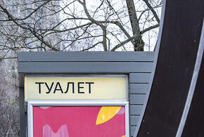 Молодая мать избавилась от новорожденного в уличном туалете в Краснодарском крае