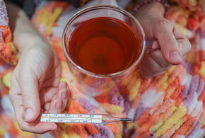 На Кубани резко выросло число заболевших ОРВИ