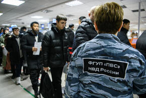 На Кубани задержали троих мошенников, прописавших в «резиновых» квартирах более 2 тысяч мигрантов