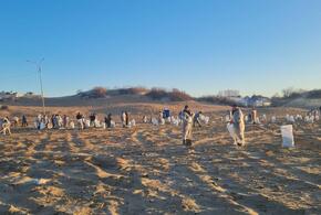 На побережье Анапы и  в Темрюкском районе обнаружили новые выбросы мазута