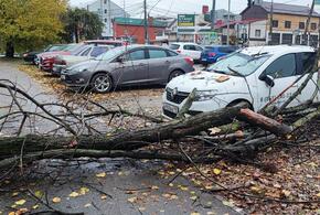 Не ходить сегодня возле высоких зданий призывают краснодарцев в администрации