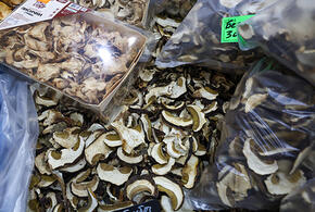 Об опасности употребления грибов с маркетплейсов предупредила врач-биохимик