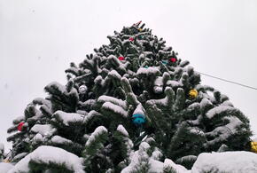 14 января есть, что отметить, чему порадоваться и просто повеселиться