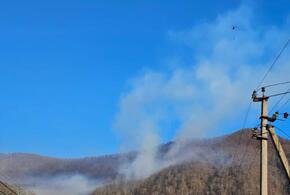 Обширный лесной пожар в Сочи удалось ликвидировать