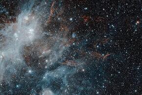 Овнам следует избегать острых тем, а Тельцам – исключить азартные игры