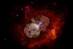 Овнов ждут приятные новости, а Весов – проверка на прочность