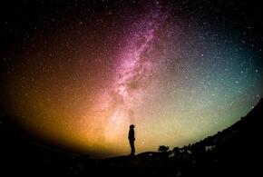 Овны возьмутся с энтузиазмом за новые дела, а Стрельцы получат поддержку влиятельной особы