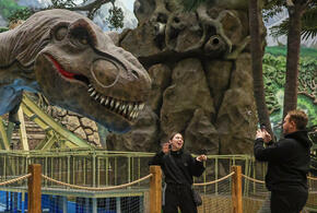 Парк динозавров сгорел в Геленджике