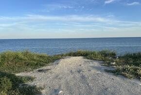 Перегнал Флоренцию и Марсель: Новороссийск побил климатический рекорд