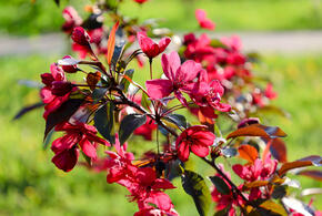 Такой тёплой зимы не было 30 лет