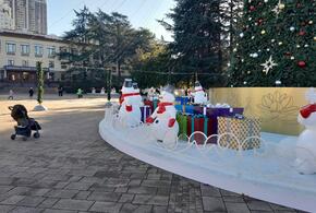 Почти весна: на Кубани 8 января погода порадует местных жителей и туристов теплом