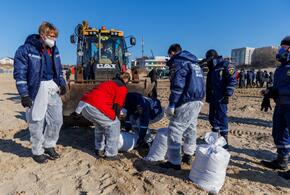 По Сети гуляет очередной фейк
