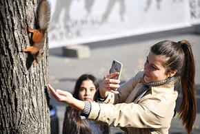 Погода на неделю с 27 января по 2 февраля на Кубани