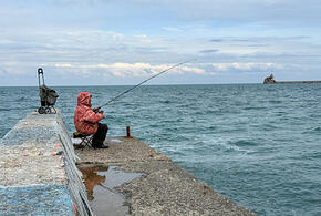 Погода на неделю с 6 по 12 января на Кубани
