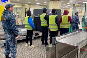 Пора домой: число депортированных мигрантов с Кубани выросло вдвое за год