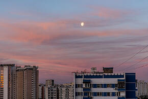 Разведывательный самолет США совершил полет вблизи российской границы, а Байден заснул на похоронах: что произошло, пока вы спали