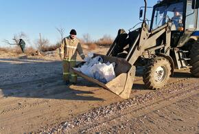  С полигона в Анапе вывезли около 265 тонн загрязненного мазутом грунта