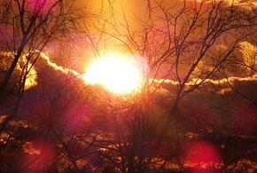  Самое большое светило: 4 января Земля подойдет максимально близко к Солнцу