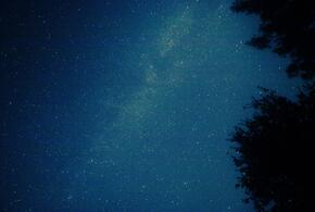 Тельцам звезды советуют прислушаться к близким, а Ракам – провести вечер в одиночестве