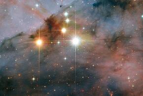 Тельцов ждут встречи с друзьями, а Ракам стоит обратить внимание на свое здоровье