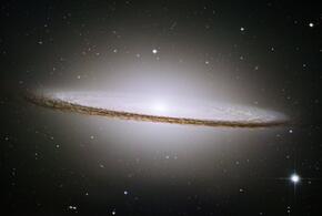 Тельцы отложат любовь ради карьеры, а в дверь Близнецов поступится прошлое