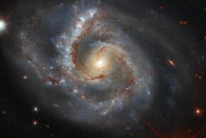 Тельцы пойдут на свидания, а Львы проявят свои таланты