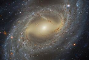 Тельцы проведут день в разъездах, а Близнецам следует ко всему подходить рационально