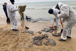 У беды нет выходных: большой фото-репортаж из зоны ЧС в Анапе
